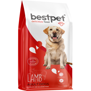 Bestpet Kuzu Etli Yetişkin Köpek Maması 15 Kg - 1