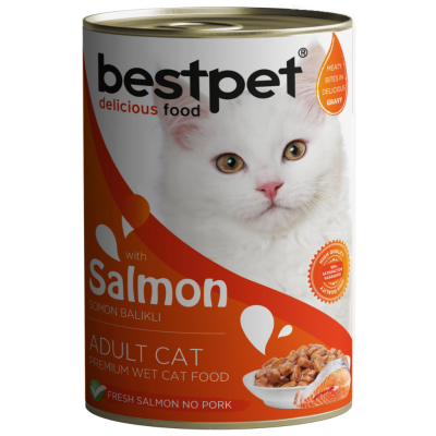 Bestpet Somonlu Yetişkin Kedi Konservesi Gravy 400 Gr - 1