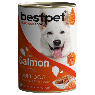 Bestpet Somonlu Yetişkin Köpek Konservesi Gravy 400 Gr - 1