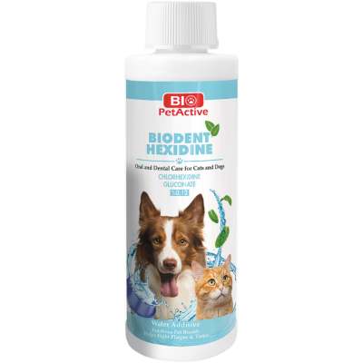 Bio PetActive Biodent Hexidine Kedi ve Köpekler İçin Ağız ve Diş Bakım Ürünü 250 ML - 1