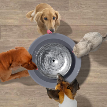 ELS Pet Kedi ve Köpek Su Pınarı 8 Litre - 6
