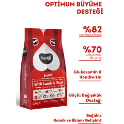 Havlife Small Mini Puppy Kuzu Etli Küçük Irk Yavru Köpek Maması 3 Kg - 2