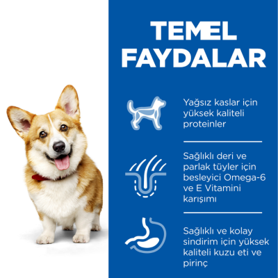 Hill's SCIENCE PLAN Kuzulu ve Pirinçli Küçük ve Mini Irk Yetişkin Köpek Maması 1.5 Kg - 4