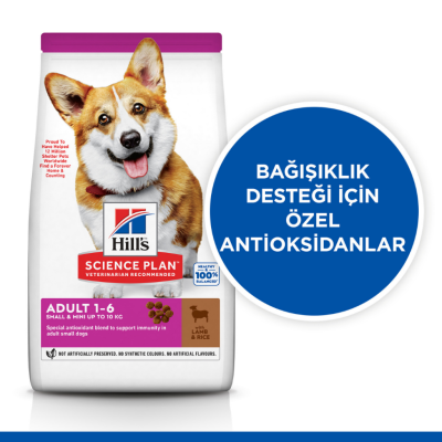 Hill's SCIENCE PLAN Kuzulu ve Pirinçli Küçük ve Mini Irk Yetişkin Köpek Maması 6 Kg - 3