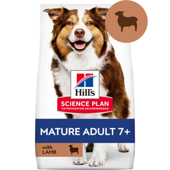 Hill's SCIENCE PLAN Kuzulu ve Pirinçli Orta Irk +7 Yaşlı Köpek Maması 14 Kg - 1