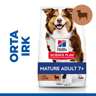 Hill's SCIENCE PLAN Kuzulu ve Pirinçli Orta Irk +7 Yaşlı Köpek Maması 14 Kg - 1