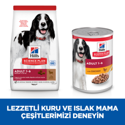 Hill's SCIENCE PLAN Kuzulu ve Pirinçli Orta Irk Yetişkin Köpek Maması 14 Kg - 6