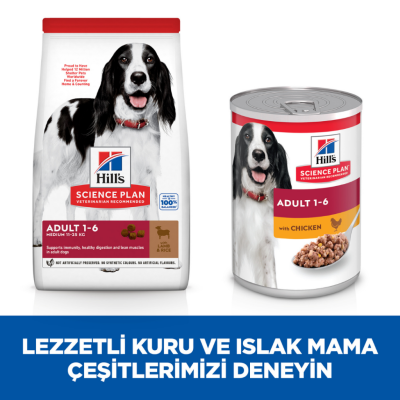 Hill's SCIENCE PLAN Kuzulu ve Pirinçli Orta Irk Yetişkin Köpek Maması 2.5 Kg - 6