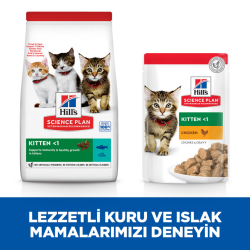 Hill's SCIENCE PLAN Ton Balıklı Yavru Kedi Maması 7 Kg - 6