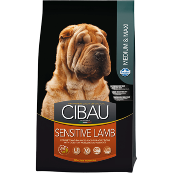 N&D Cibau Sensitive Kuzu Etli Medium & Maxi Yetişkin Köpek Maması 12 Kg - 1