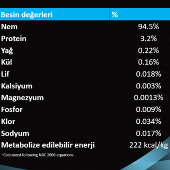 Pro Plan Hydra Care Kediler İçin Su Alımını Destekleyici Tamamlayıcı Yaş Mama 10x85 Gr - 4
