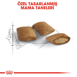 Royal Canin Ageing 12+ Yaşlı Kedi Maması 2 Kg - 3