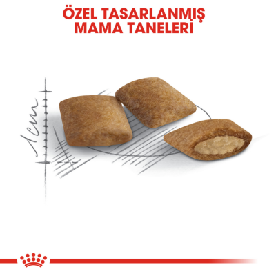 Royal Canin Ageing 12+ Yaşlı Kedi Maması 2 Kg - 3