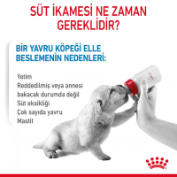 Royal Canin Babydog Milk Köpek Süt Tozu 400 Gr - 4