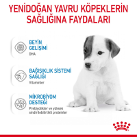 Royal Canin Babydog Milk Köpek Süt Tozu 400 Gr - 6