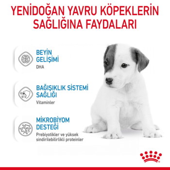 Royal Canin Babydog Milk Köpek Süt Tozu 400 Gr - 6