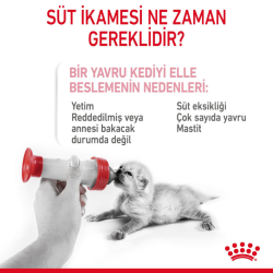 Royal Canin Babycat Milk Kedi Süt Tozu 300 Gr - 4