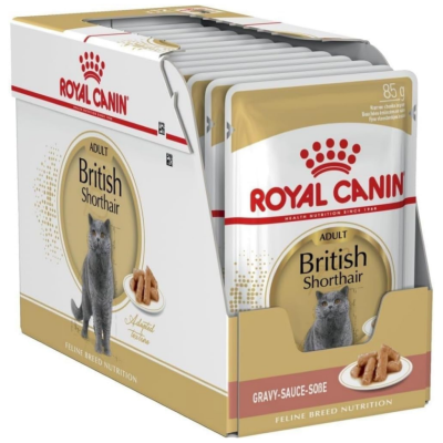 Royal Canin British Shorthair Adult Gravy Pounch Kedi Yaş Maması 85 Gr 12 Adet - 1