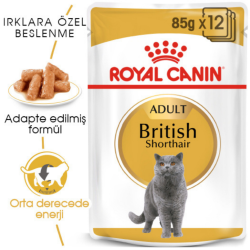 Royal Canin British Shorthair Adult Gravy Pounch Kedi Yaş Maması 85 Gr - 2