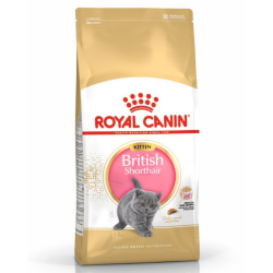 Royal Canin British Shorthair Kitten Yavru Kedi Maması 2 Kg - 1