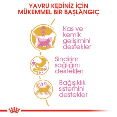 Royal Canin British Shorthair Kitten Yavru Kedi Maması 2 Kg - 5