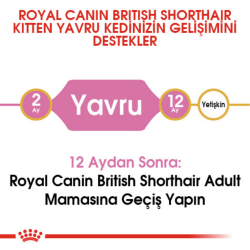 Royal Canin British Shorthair Kitten Yavru Kedi Maması 2 Kg - 4