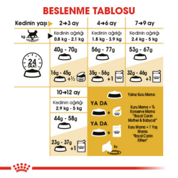 Royal Canin British Shorthair Kitten Yavru Kedi Maması 2 Kg - 6