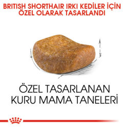 Royal Canin British Shorthair Yetişkin Kedi Maması 2 Kg - 3