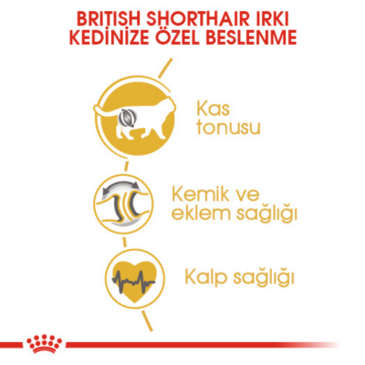 Royal Canin British Shorthair Yetişkin Kedi Maması 2 Kg - 5