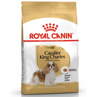 Royal Canin Cavalier King Charles Adult Yetişkin Köpek Maması 1.5 Kg - 1