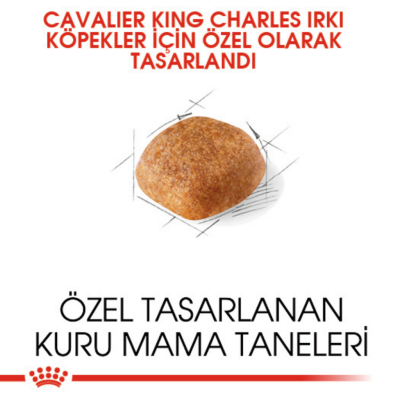 Royal Canin Cavalier King Charles Adult Yetişkin Köpek Maması 1.5 Kg - 3