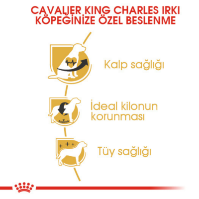 Royal Canin Cavalier King Charles Adult Yetişkin Köpek Maması 1.5 Kg - 4