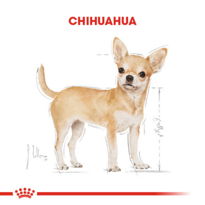 Royal Canin Chihuahua Adult Yetişkin Köpek Maması 1.5 Kg - 4