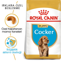 Royal Canin Cocker Puppy Yavru Köpek Maması 3 Kg - 2