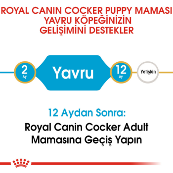 Royal Canin Cocker Puppy Yavru Köpek Maması 3 Kg - 4