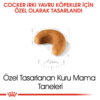 Royal Canin Cocker Puppy Yavru Köpek Maması 3 Kg - 5