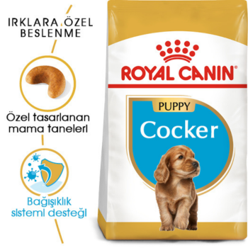 Royal Canin Cocker Puppy Yavru Köpek Maması 3 Kg - 2