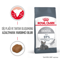 Royal Canin Dental Care Yetişkin Kedi Maması 1.5 Kg - 2