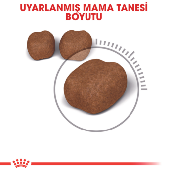 Royal Canin Dental Care Yetişkin Kedi Maması 1.5 Kg - 3