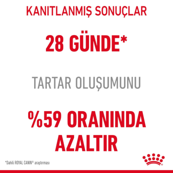 Royal Canin Dental Care Yetişkin Kedi Maması 1.5 Kg - 4
