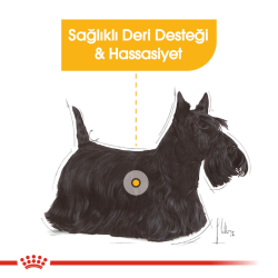 Royal Canin Dermacomfort Pouch Köpek Yaş Maması 85 Gr - 5