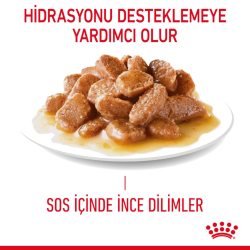 Royal Canin Digestive Sensitive Gravy Pouch Kedi Yaş Maması 85 Gr - 3