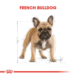 Royal Canin French Bulldog Adult Yetişkin Köpek Maması 3 Kg - 4