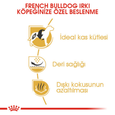 Royal Canin French Bulldog Adult Yetişkin Köpek Maması 3 Kg - 5