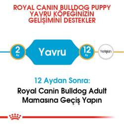 Royal Canin French Bulldog Puppy Yavru Köpek Maması 3 Kg - 3