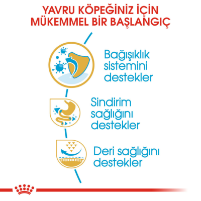 Royal Canin French Bulldog Puppy Yavru Köpek Maması 3 Kg - 4