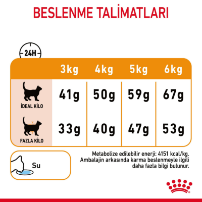 Royal Canin Hair & Skin Care Yetişkin Kedi Maması 2 Kg - 6