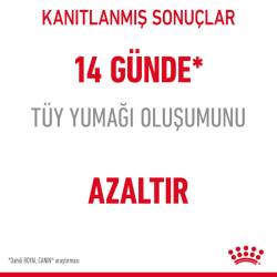 Royal Canin Hairball Care Yetişkin Kedi Maması 2 Kg - 4