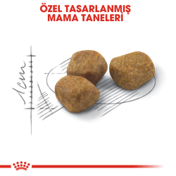 Royal Canin İndoor 7+ Yaşlı Kedi Maması 1.5 Kg - 3