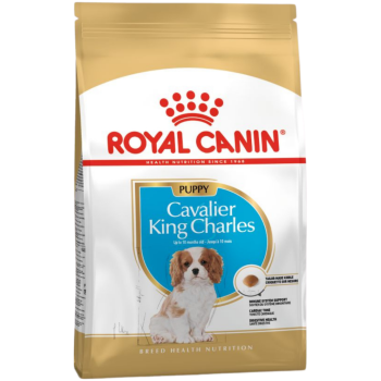 Royal Canin King Charles Puppy Yavru Köpek Maması 1.5 Kg - 1